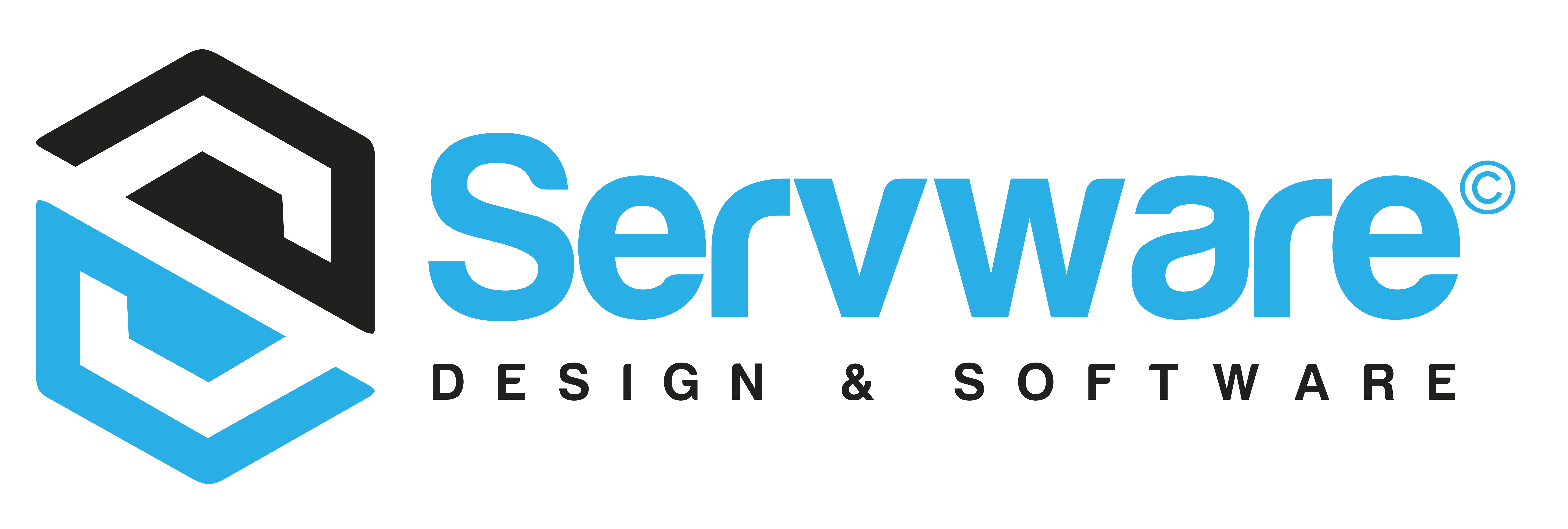Servware Co - تطوير المواقع والبرمجيات